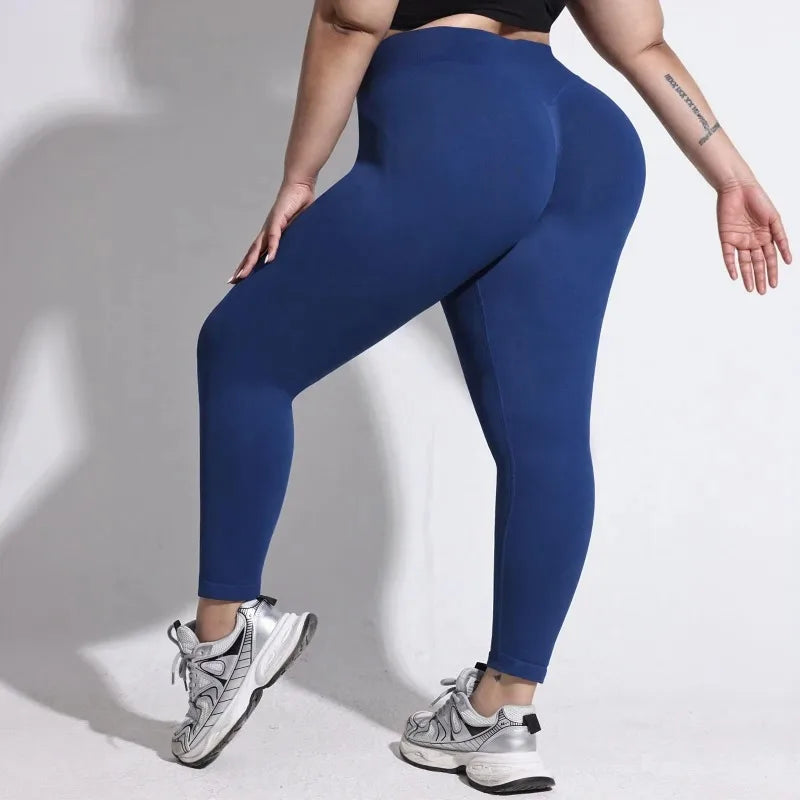 Sera